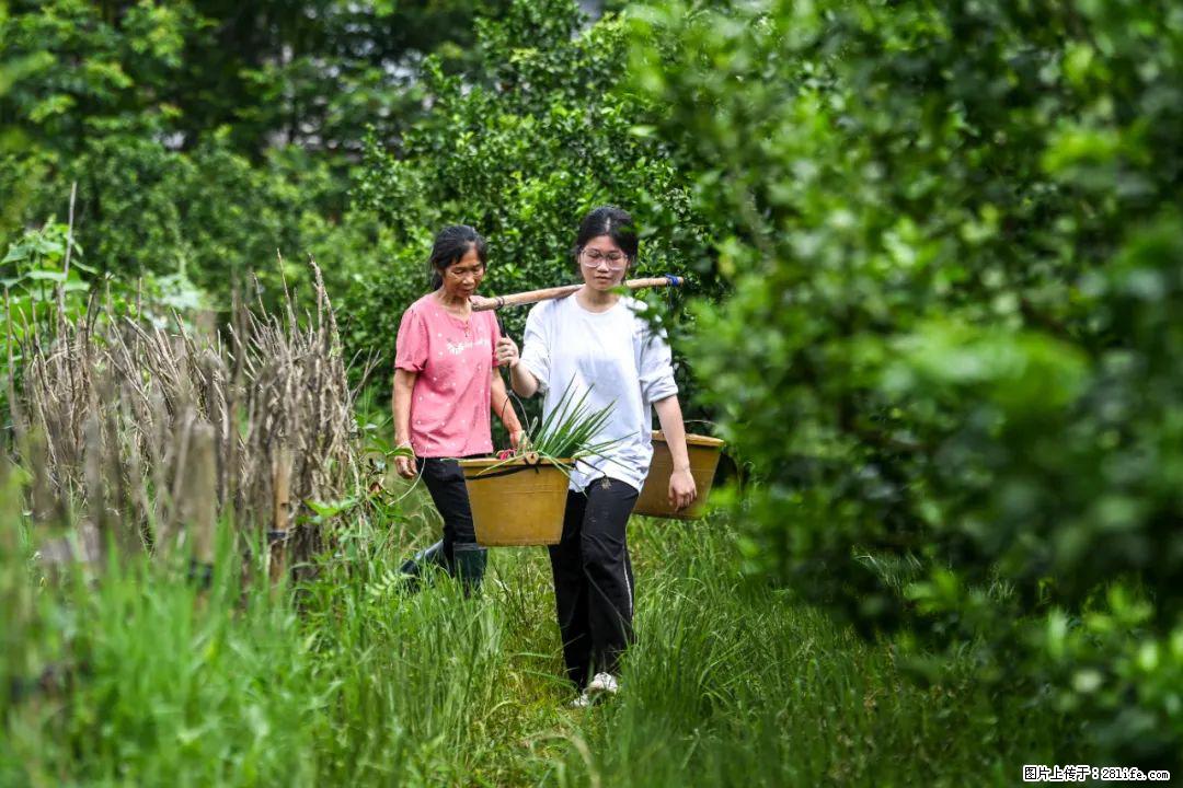 全网追的“扁担女孩”，找了一份暑假工，时薪12元 - 嘉兴生活资讯 - 嘉兴28生活网 jx.28life.net