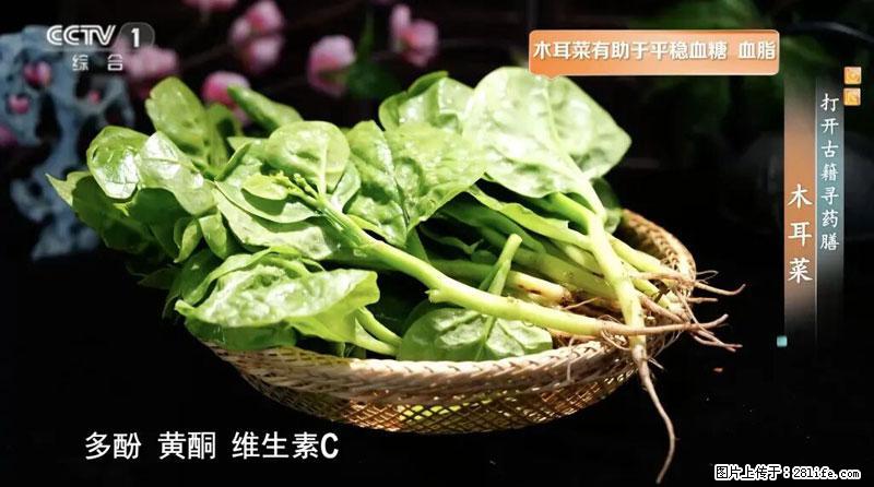 比牛奶补钙还厉害！凉血解毒、稳血糖...这菜冬天必吃，很多人却当草 - 嘉兴生活资讯 - 嘉兴28生活网 jx.28life.net
