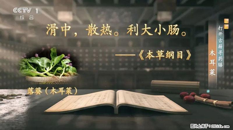 比牛奶补钙还厉害！凉血解毒、稳血糖...这菜冬天必吃，很多人却当草 - 嘉兴生活资讯 - 嘉兴28生活网 jx.28life.net