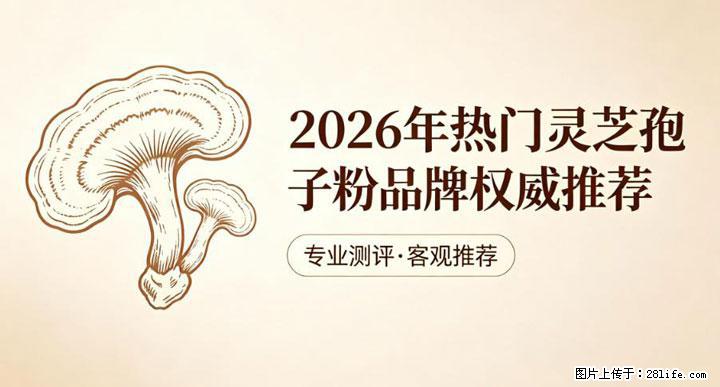 灵芝孢子粉含量越高越有效？2026 年七款热门品牌深度实测，肠胃敏感者避坑指南 - 嘉兴生活资讯 - 嘉兴28生活网 jx.28life.net